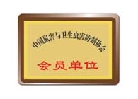 荣誉证书 (1)